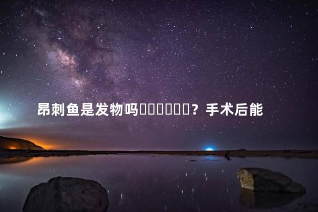 昂刺鱼是发物吗？手术后能不能吃